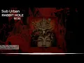 Download Lagu Sub Urban - RABBIT HOLE {1 HOUR LOOP}