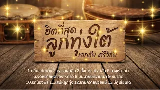 รวมเพลงฮิตที่่สุด ลูกทุ่งใต้ - เอกชัย ศรีวิชัย lเพลงใหม่ล่าสุด lรวมเพลงใต้ lเพลงฮิต tiktok