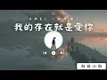 我的存在就是愛你 - aMEI (張惠妹)《动态歌词》