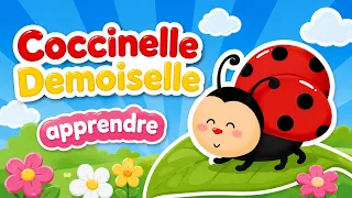 Coccinelle Demoiselle | Comptines Bébé | Apprendre en chanson