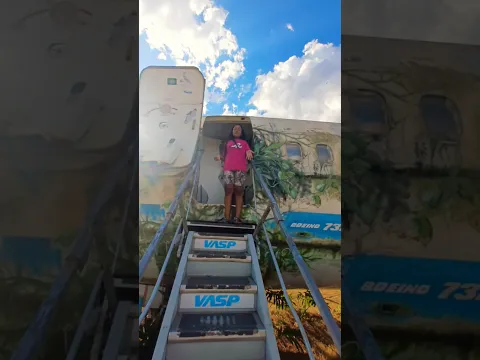 Avião que o leozinho e a emily gravaram