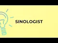 What is the meaning of the word SINOLOGIST