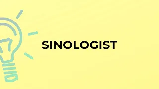 What is the meaning of the word SINOLOGIST