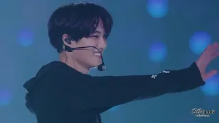 exo dont go in japan