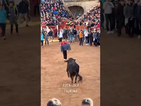 Al Quiebro Jony Sánchez Al Toro De Hnos Sánchez Herrero ¡Precioso! #shorts