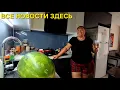 Download Lagu ЖЕНСКИЙ ВЛОГ МЕНСТРУАЦИЯ ФЕЙКОВЫЕ АКУЛЫ НАСТОЯЩИЕ БРЕНДЫ МЕЧТЫ КОФЕ ЛЮБОВЬ