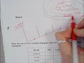 6 07 Creating Cladograms PRACTICE 1