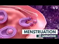 Download Lagu Menstrual Cycle Basics | 3D animation (1/2)