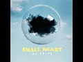 Small Heart