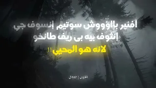 جي فاي بي باشيري دندنها
