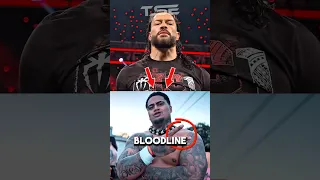 Did You Catch WWE Teasing NEW Bloodline Leader After Roman Reigns Wwe 