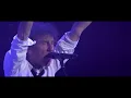 Alain Souchon, Laurent Voulzy - Foule sentimentale (Live au Zénith de Paris 2015)
