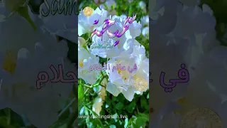 ابيات شعر باسم سميحة 