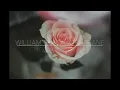Download Lagu [ 中英歌詞 ] William Black \u0026 Fairlane - Broken 心碎一地