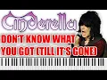 Download Lagu Cinderella - Don't Know What You Got (Till It's Gone) (1988 / 1 HOUR LOOP)