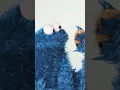 Download Lagu Cookie Monster's New Years Resolution! #sesamestreet