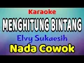 Download Lagu MENGHITUNG BINTANG Karaoke Nada Cowok / Nada Pria Elvy Sukaesih