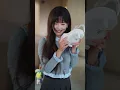 Hija adoptiva la empuja abajo, hermano mira frío, suplica arrodillado al ver su verdadera cara