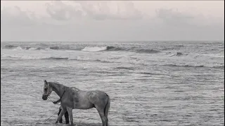 احكي بهمسك حبيبي عبدالمجيد بطيء 