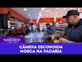 Download Lagu Mosca na Padaria | Câmeras Escondidas (10/08/25)