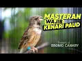 Download Lagu Blackthroat Gacor Suara Jernih Ampuh Buat Masteran Kenari