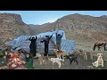 The Real Nomad Life: Building a Goat Shelter \u0026 Cooking Ancient Traditional Food