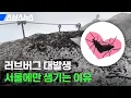 Download Lagu 💗익충이지만 도저히 친해지기 힘든 러브버그🪲 많아도 너무 많은 이유 / 스브스뉴스