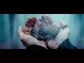 SAVE US - Far (Official Music Video) - Solid State Records