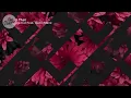 Doja Cat - Like That Feat. Gucci Mane (Lyrics)