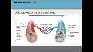 Distúrbios da circulação - Patologia Geral (1/14)