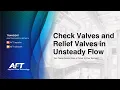 Check Valves and Relief Valves in Unsteady Flow Can These Devices Pose a Threat to Your System