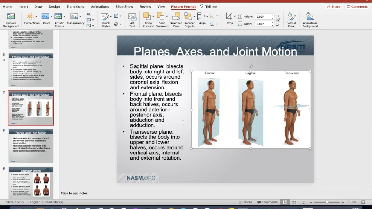 Chapter 5 - Human Movement System