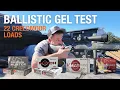 Finding the Most DEVASTATING 22 Creedmoor Load Using Ballistic Gel