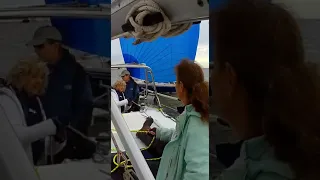 2024 GBCA Icicle Race No. 5 #shorts