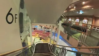                            دندنها