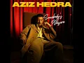 Lagu Aziz Hedra - Somebody's Pleasure (Audio)