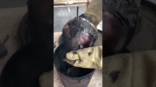 The Drama and Instant Gratification of Raku