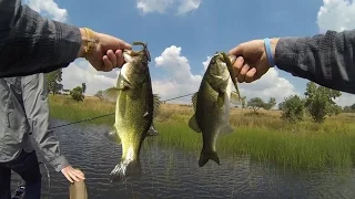 Download Midsummer Bass Fishing... MP3