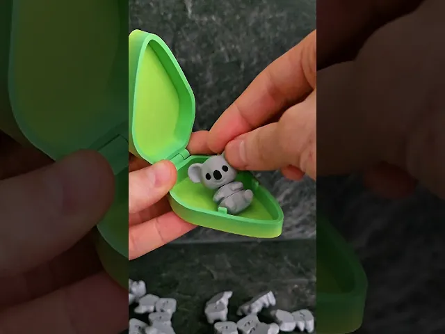 Little Koala with Eucalyptus Box / Articulated Fidget Toy / Support Free video thumbnail