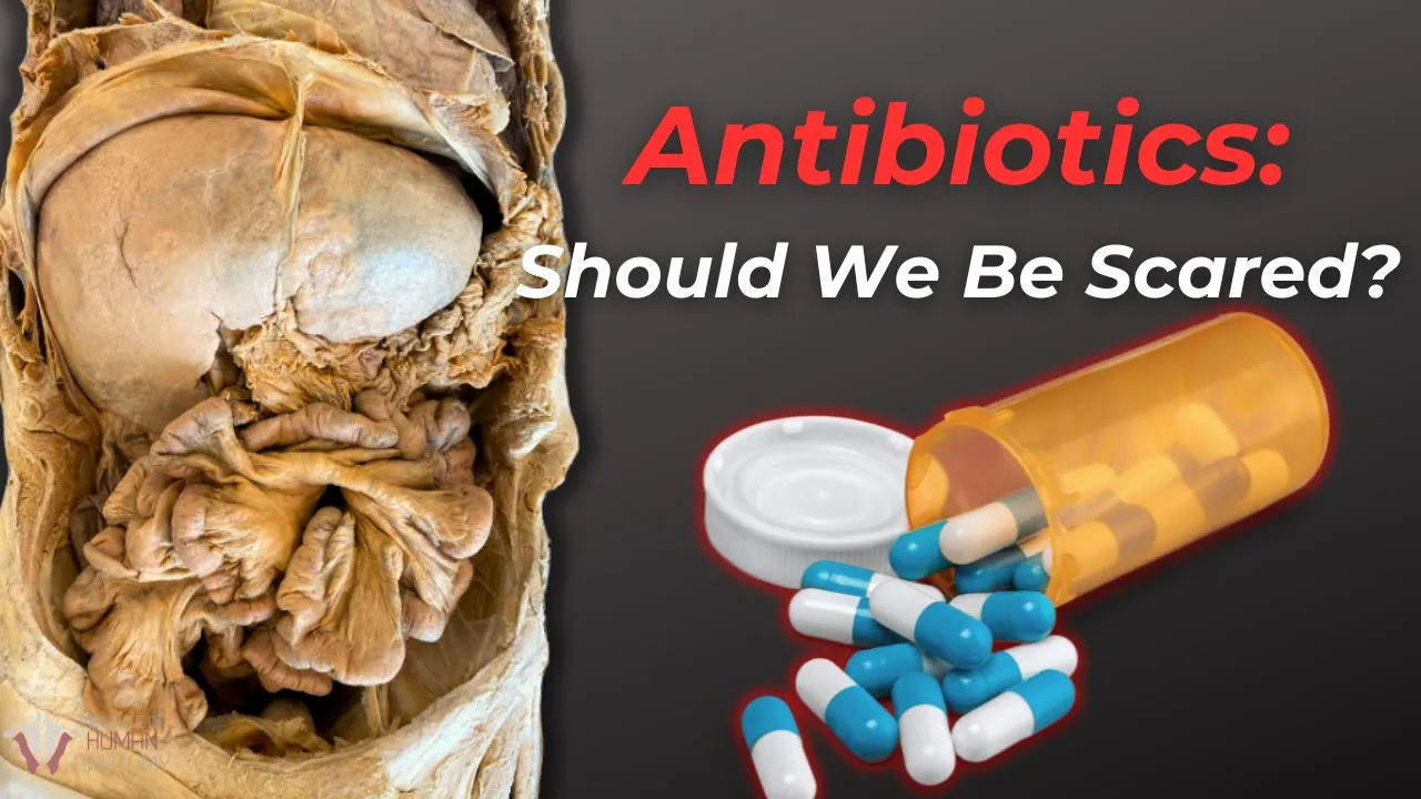 Why Antibiotics Don't Work Like They Used To