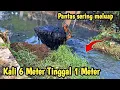 Lagu Ngeri || Kali 6 Meter Tinggal 1 Meter || Normalisasi kali