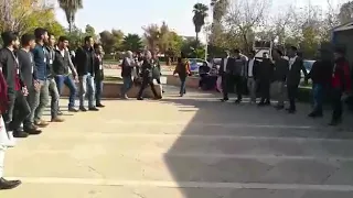 جوفيه العبيدات جامعة العلوم و التكنولوجيا دندنها