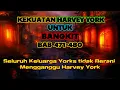 Download Lagu Kekuatan Harvey York Untuk Bangkit BAB 471-480