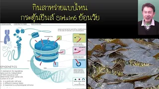ทำไมการหยุดกินน้ำตาลและแป้งจึงสำคัญต่อการย้อนวัย?