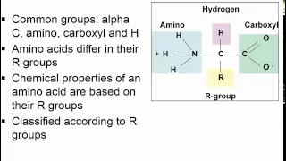 Download Amino Acids and Proteins I MP3