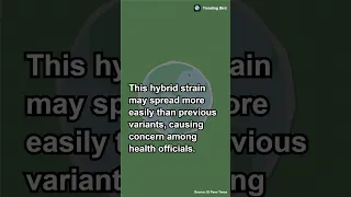 What You Need To Know About The New COVID XEC Variant Covid19 