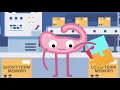 What Happens To Your Brain When You Get Blackout Drunk | The Human Body