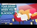 Download Lagu What Happens To Your Brain When You Get Blackout Drunk | The Human Body