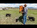 Inside a Real Montana Ranch - What s it REALLY Like