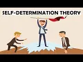 Self-Determination Theory Explained